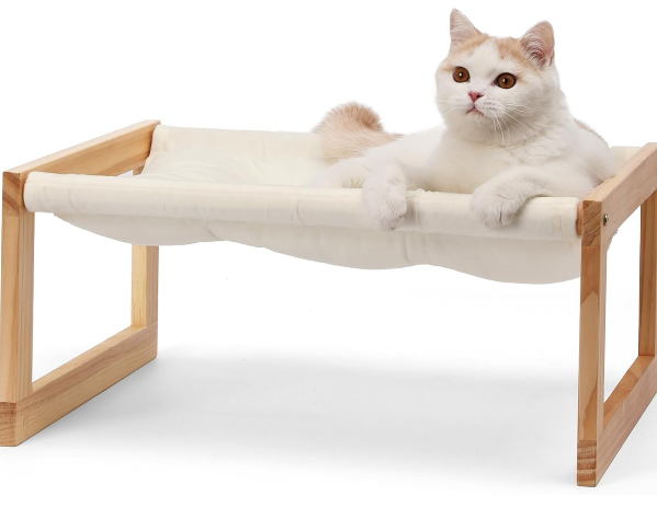 Pet Furniture & Accessories