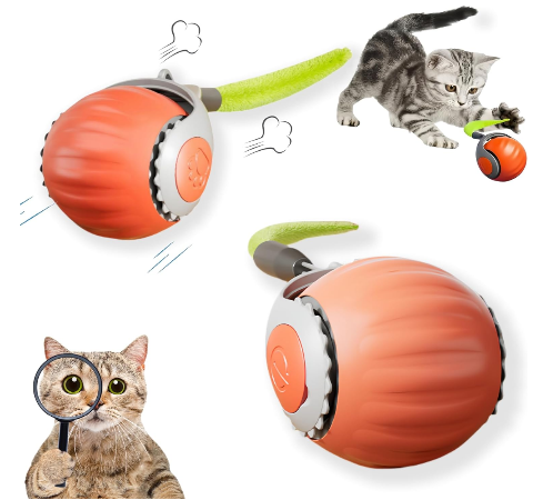 Pet Toys