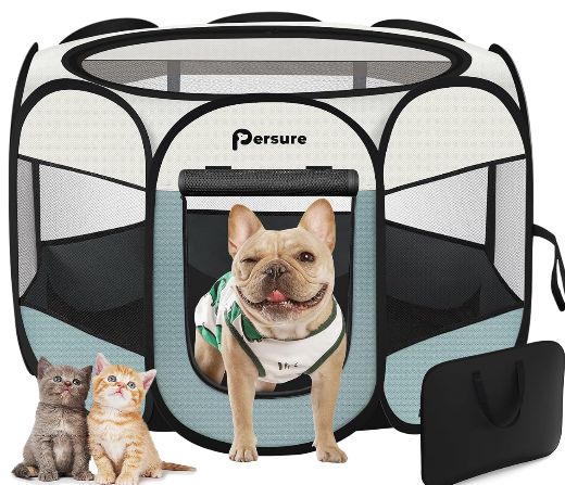 Pet Travel & Outdoor